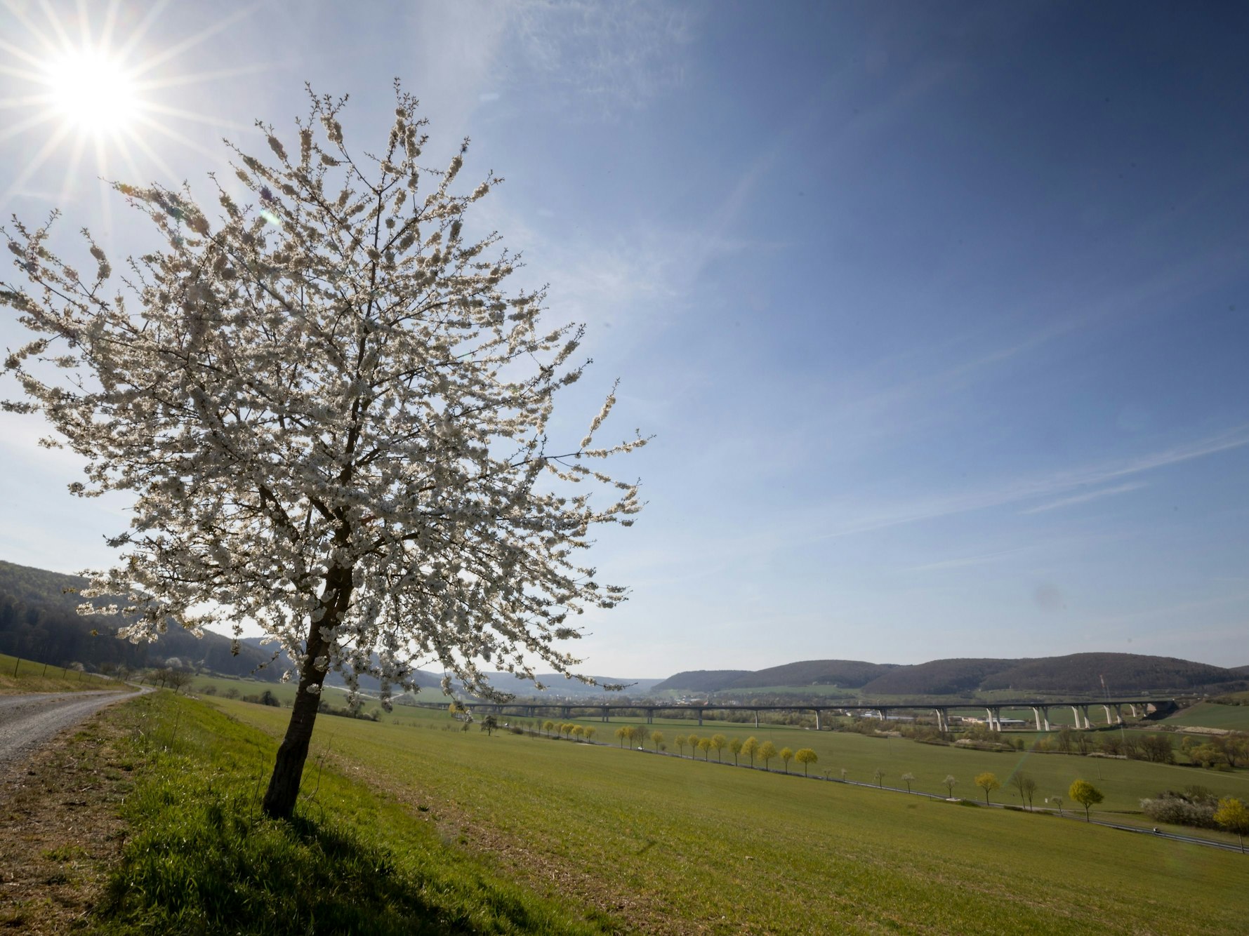 Radwege in Deutschland wie der Werratal-Radweg führen durch saftige Wiesen.