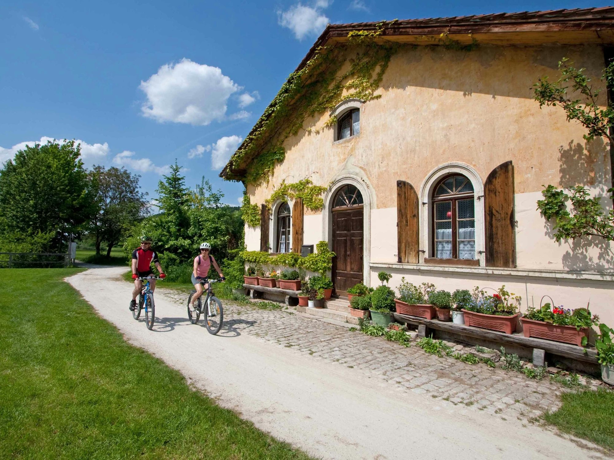 Radwege in Deutschland wie der Altmühltal-Radweg verlaufen durch romantische Landschaften.
