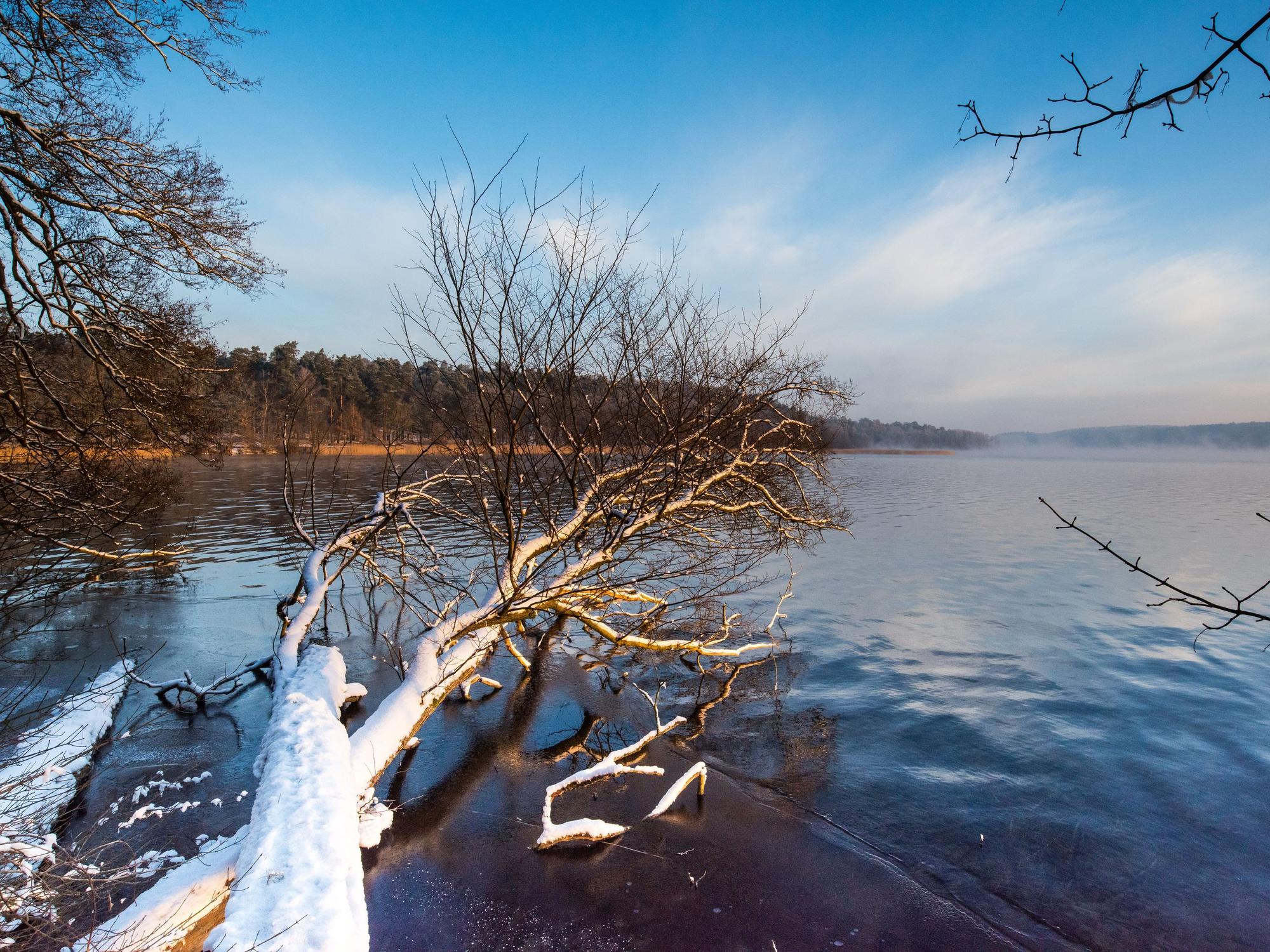 Der „Berlin-Usedom-Radweg“ führt bis an den Werbellinsee.