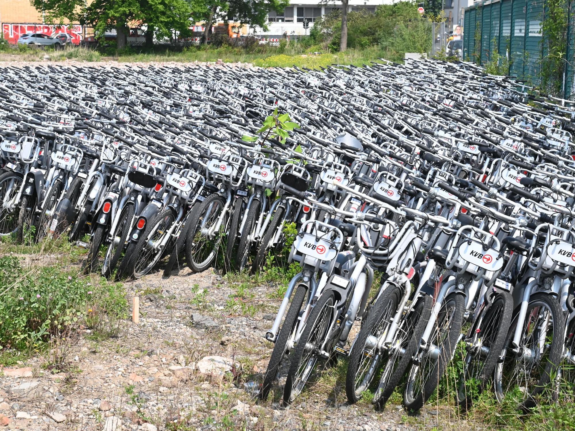 Hunderte KVB-Fahrräder stehen auf einem Gelände an der Vitalisstraße in Köln.