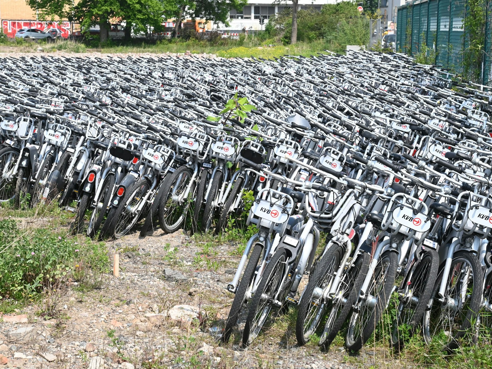 Hunderte KVB-Fahrräder stehen auf einem Gelände an der Vitalisstraße in Köln.