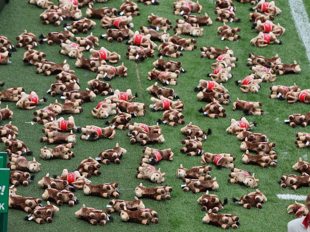 Plüsch-Geißböcke am Spielfeldrand erinnern an die getöteten Kinder in der Ukraine.