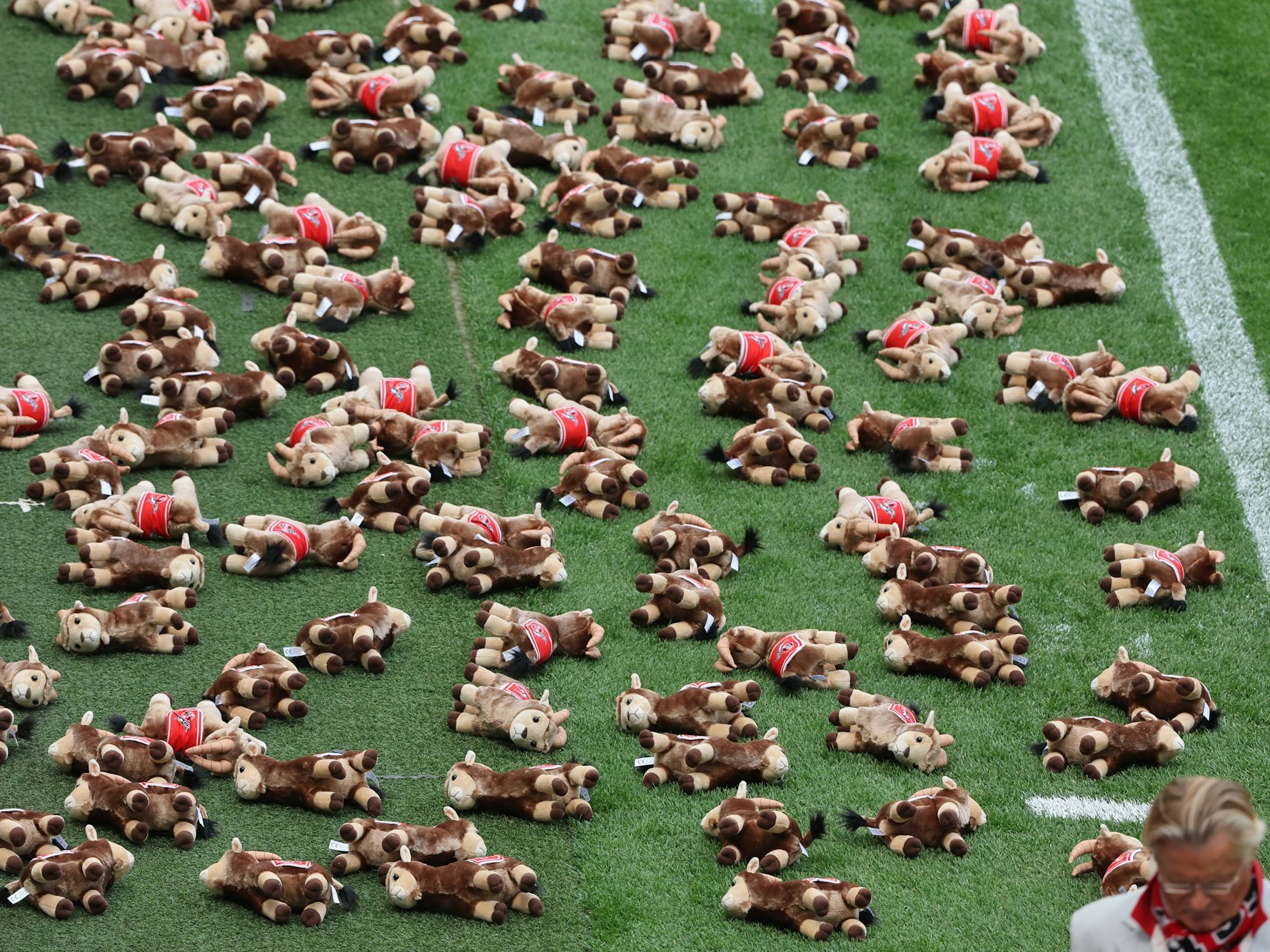 Plüsch-Geißböcke am Spielfeldrand erinnern an die getöteten Kinder in der Ukraine.