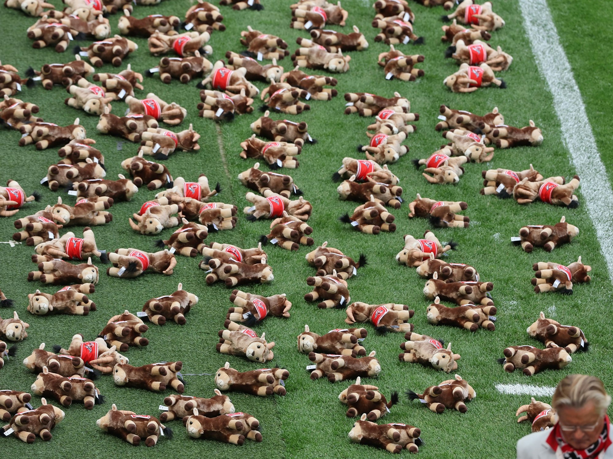 Plüsch-Geißböcke am Spielfeldrand erinnern an die getöteten Kinder in der Ukraine.