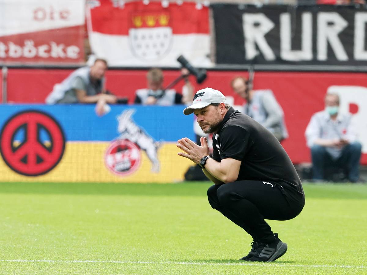 Steffen Baumgart vor dem Spiel gegen den VfL Wolfsburg.