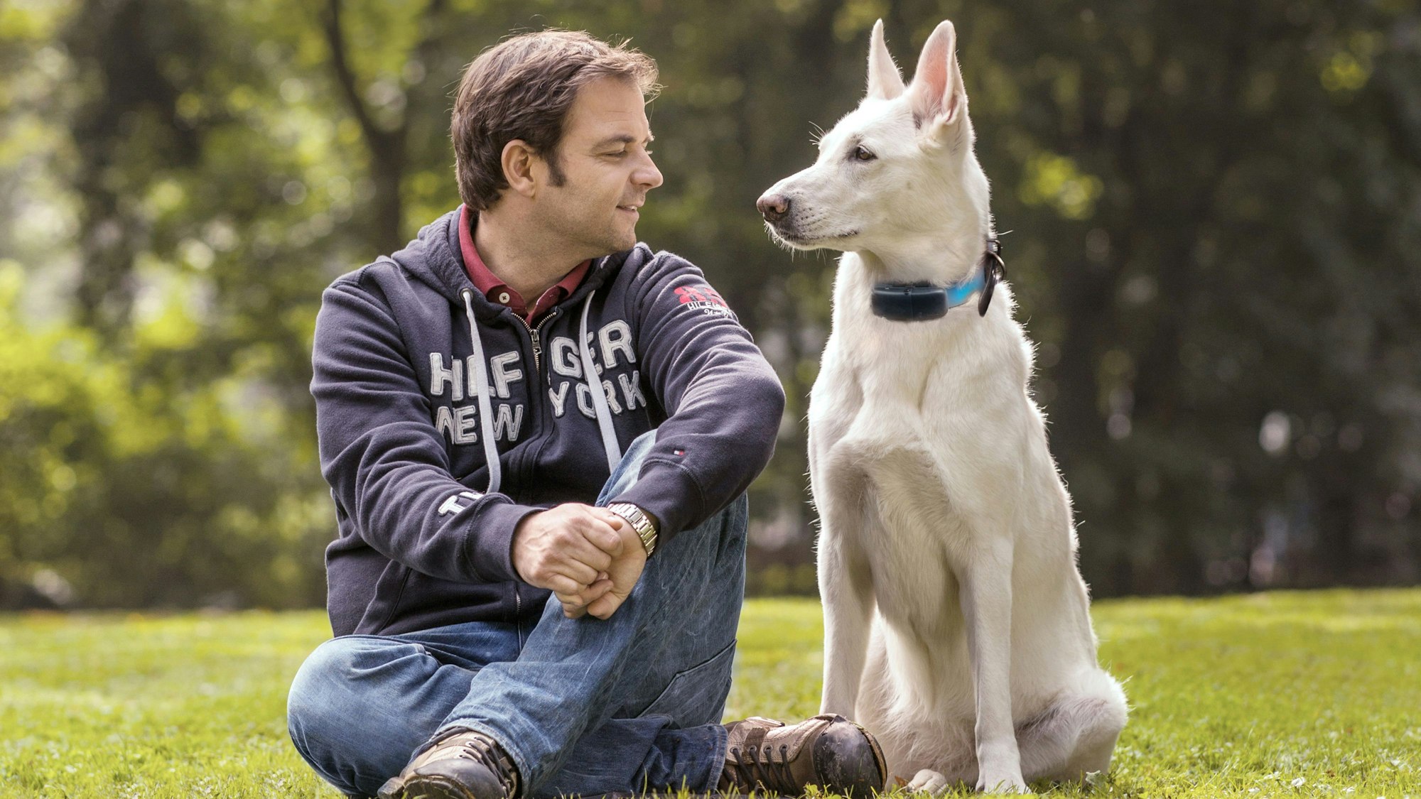 Martin Rütter, hier mit einem Vierbeiner im Oktober 2020, klärt über die schlimmen Bedingungen der Welpenzucht auf.