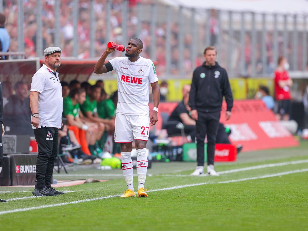 Anthony Modeste und Steffen Baumgart treffen mit dem 1. FC Köln auf den VfL Wolfsburg.