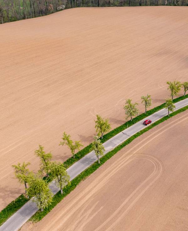 Ein Auto fährt im April über eine Straße mit grünen Bäumen führt zwischen zwei braunen Feldern hindurch. Das Frühjahr war in vielen Regionen Deutschlands deutlich zu trocken. Die fehlenden Niederschläge führen zu einer sogenannten Bodendürre.