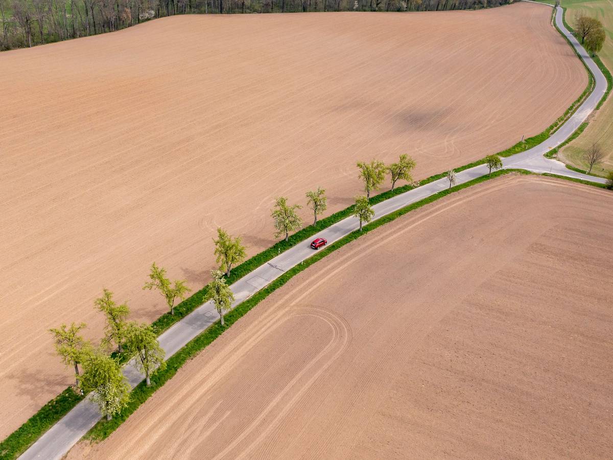 Ein Auto fährt im April über eine Straße mit grünen Bäumen führt zwischen zwei braunen Feldern hindurch. Das Frühjahr war in vielen Regionen Deutschlands deutlich zu trocken. Die fehlenden Niederschläge führen zu einer sogenannten Bodendürre.