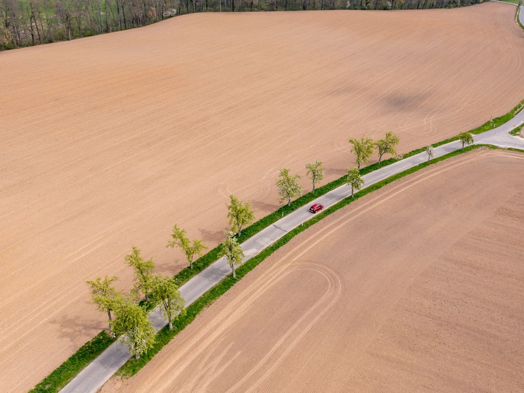 Ein Auto fährt im April über eine Straße mit grünen Bäumen führt zwischen zwei braunen Feldern hindurch. Das Frühjahr war in vielen Regionen Deutschlands deutlich zu trocken. Die fehlenden Niederschläge führen zu einer sogenannten Bodendürre.