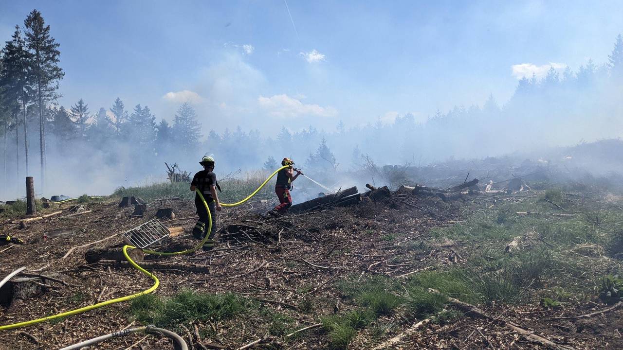 In Euskirchen kam es am Mittwoch (11. Mai 2022) im Kirchheimer Wald zu einem Waldbrand.