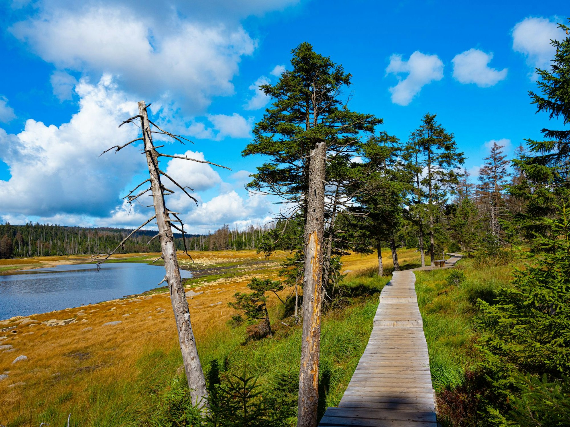 Der Oderteich ist ein beliebtes Ausflugsziel im Harz.
