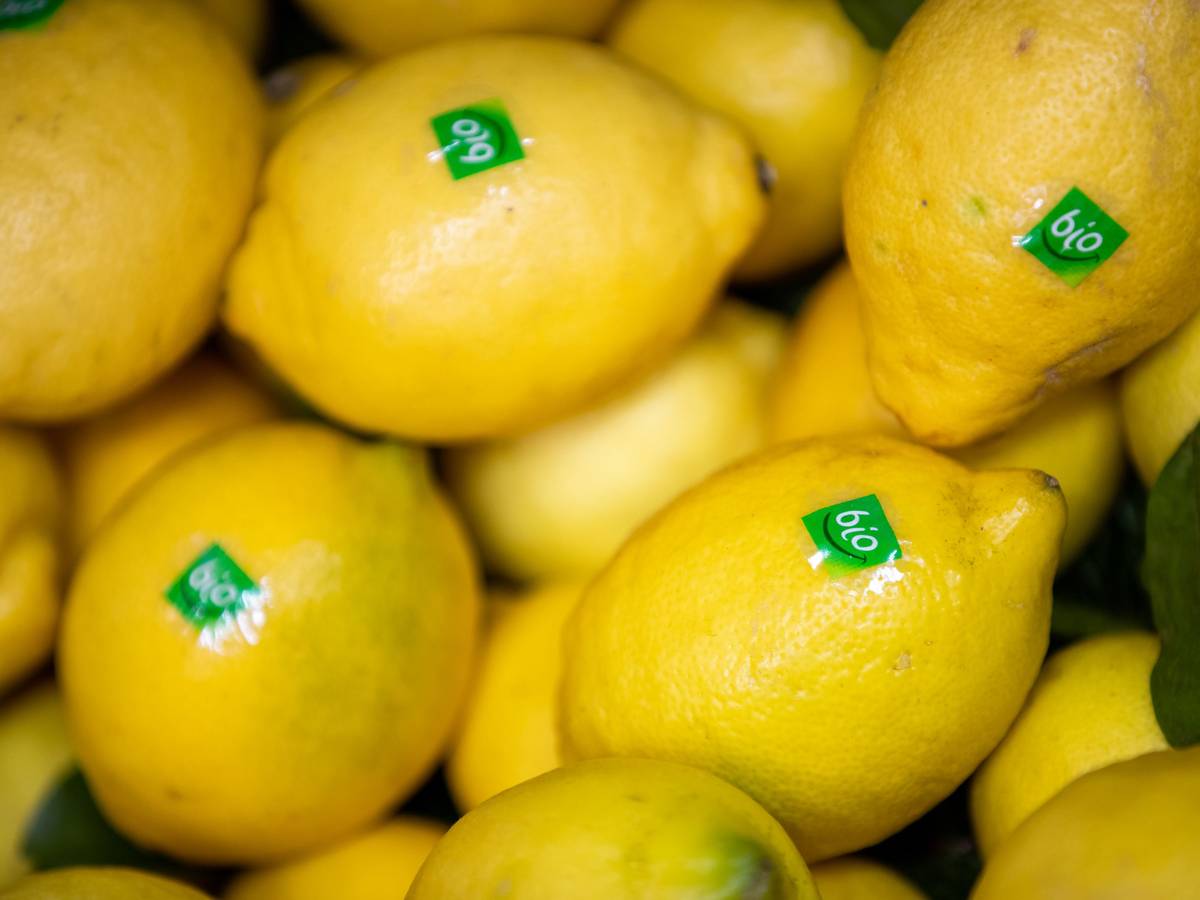 Zitronen mit dem Bio-Label liegen am 13. Februar 2019 an einem Stand bei der Öko-Fachmesse aus.