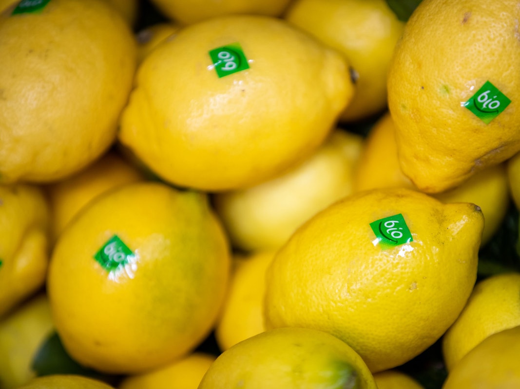 Zitronen mit dem Bio-Label liegen am 13. Februar 2019 an einem Stand bei der Öko-Fachmesse aus.