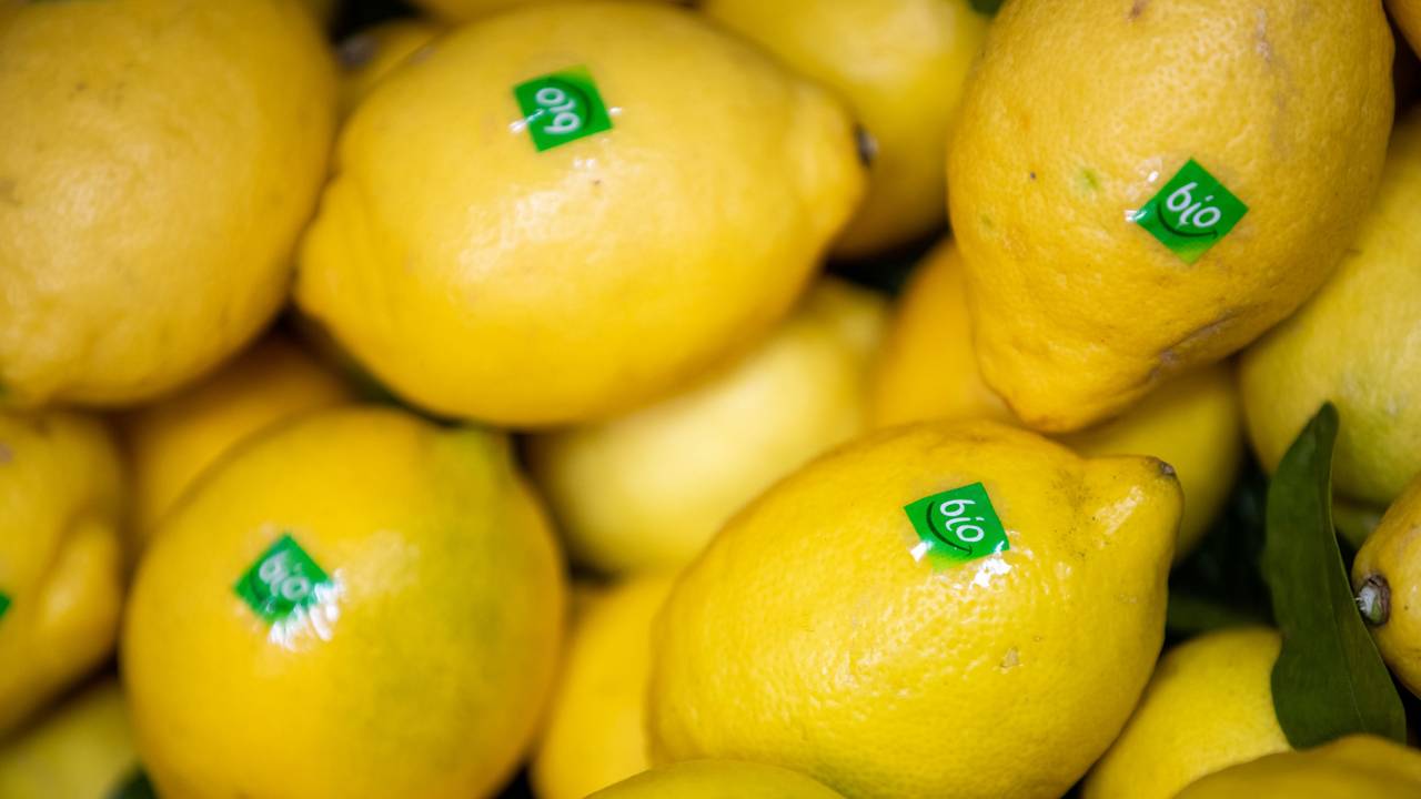 Zitronen mit dem Bio-Label liegen am 13. Februar 2019 an einem Stand bei der Öko-Fachmesse aus.