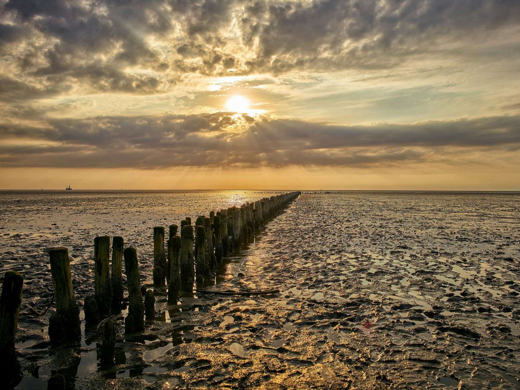 Der Nationalpark Schleswig-Holsteinisches Wattenmeer ist perfekt für eine Tagestour.