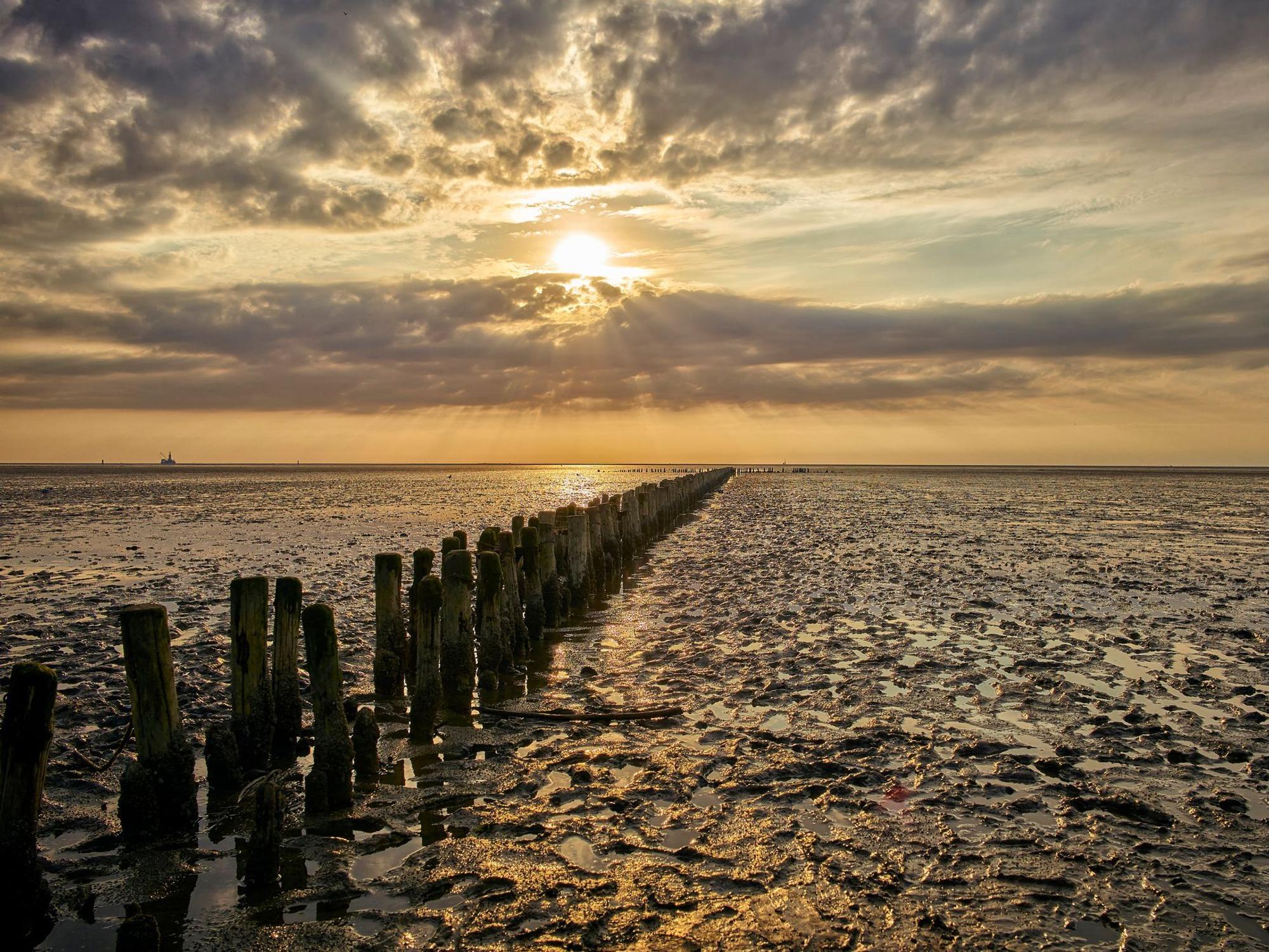 Im Niedersächsisches Wattenmeer lässt sich gut ein Tag verbringen.