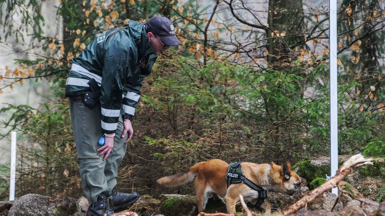 Ein Polizist lässt einen Polizeihund in Bayern den möglichen Ablageort einer Mädchenleiche absuchen.