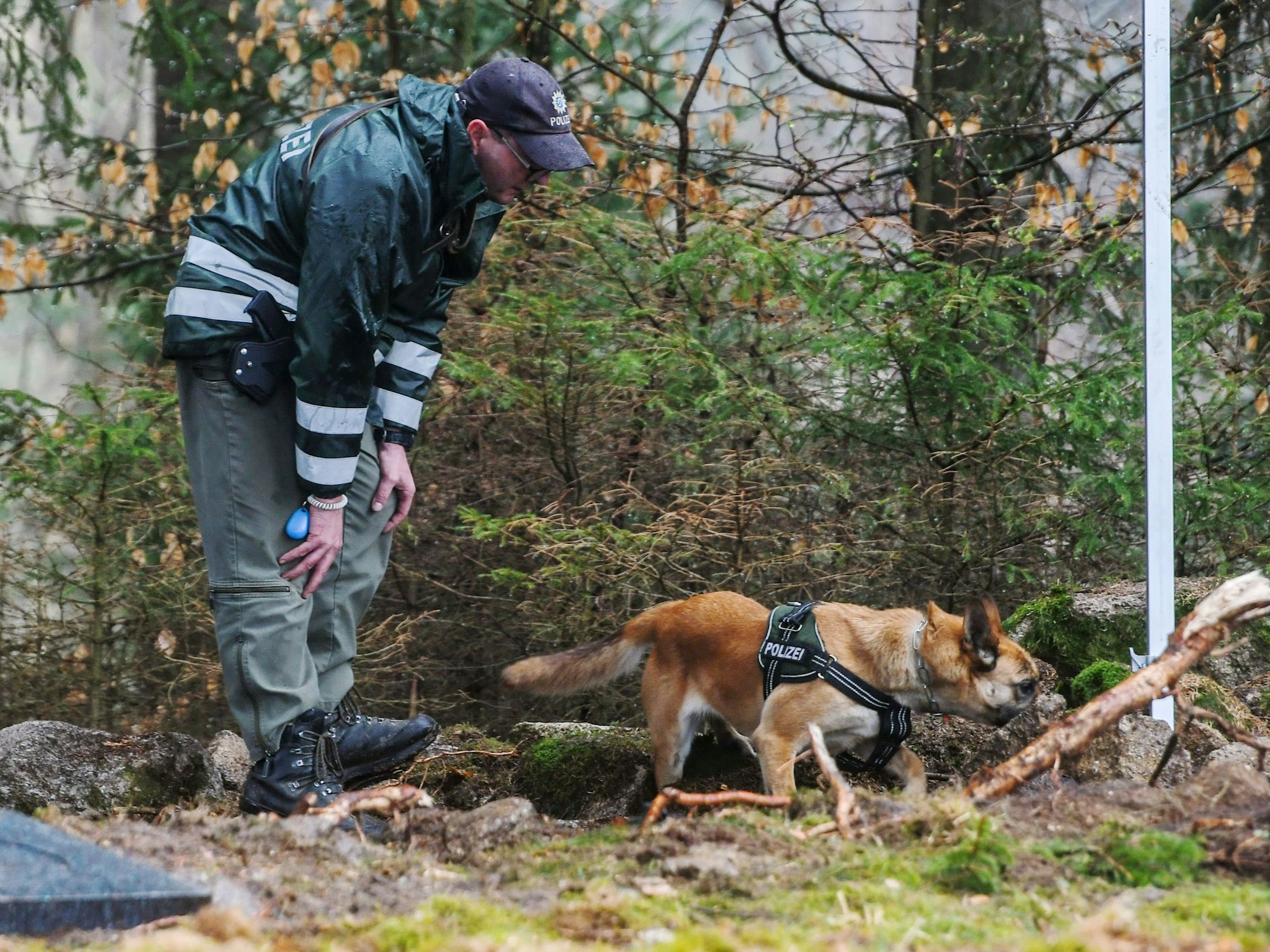 Ein Polizist lässt einen Polizeihund in Bayern den möglichen Ablageort einer Mädchenleiche absuchen.