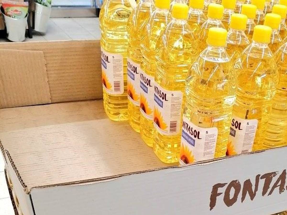 Ein Kunde postet auf Twitter ein Foto von dem Sonnenblumenangebot einer Lidl-Filiale und ist völlig entsetzt über den Preis. Screenshot via Twitter/@17_moriarty.