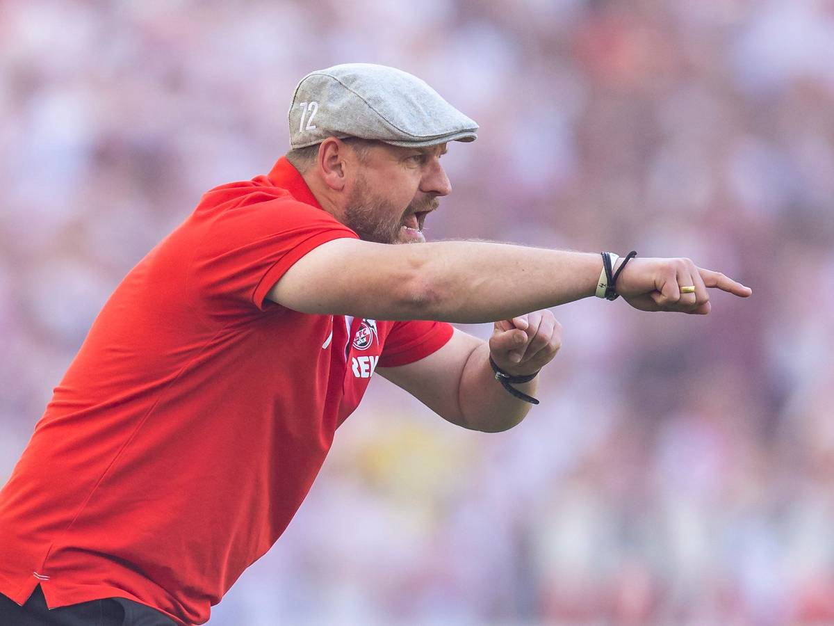 Steffen Baumgart coacht energisch an der Seitenlinie des 1. FC Köln.