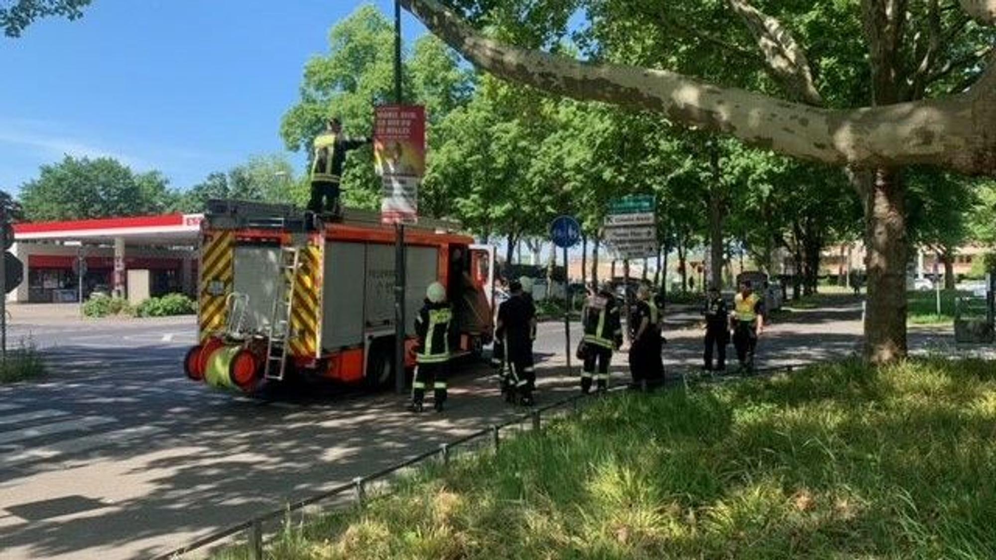 In Köln hängt die Feuerwehr Wahlplakate ab, die sich zu nah am Wahllokal befinden.
