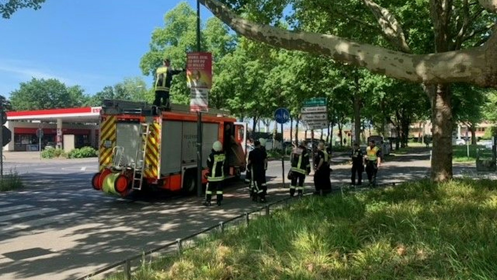 In Köln hängt die Feuerwehr Wahlplakate ab, die sich zu nah am Wahllokal befinden.