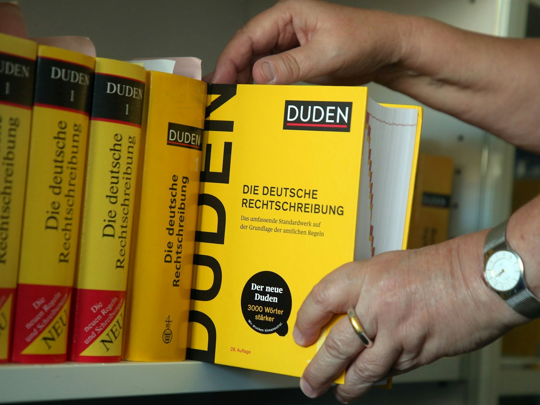 Der Duden wird aus einem Bücherregal gezogen.