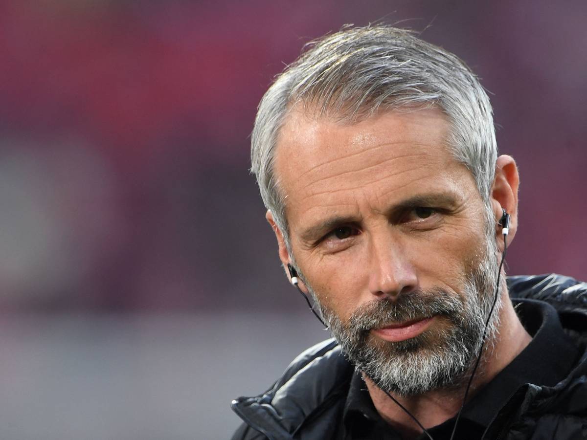 Marco Rose im BVB-Spiel beim FC Bayern bei einem TV-Interview