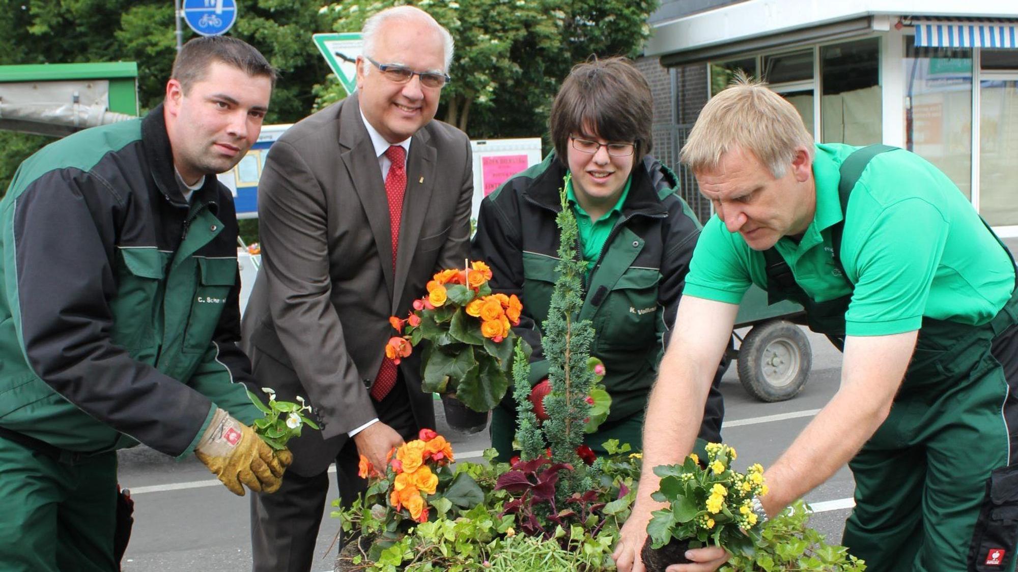 Blumenkübel werden bepflanzt in Holweide