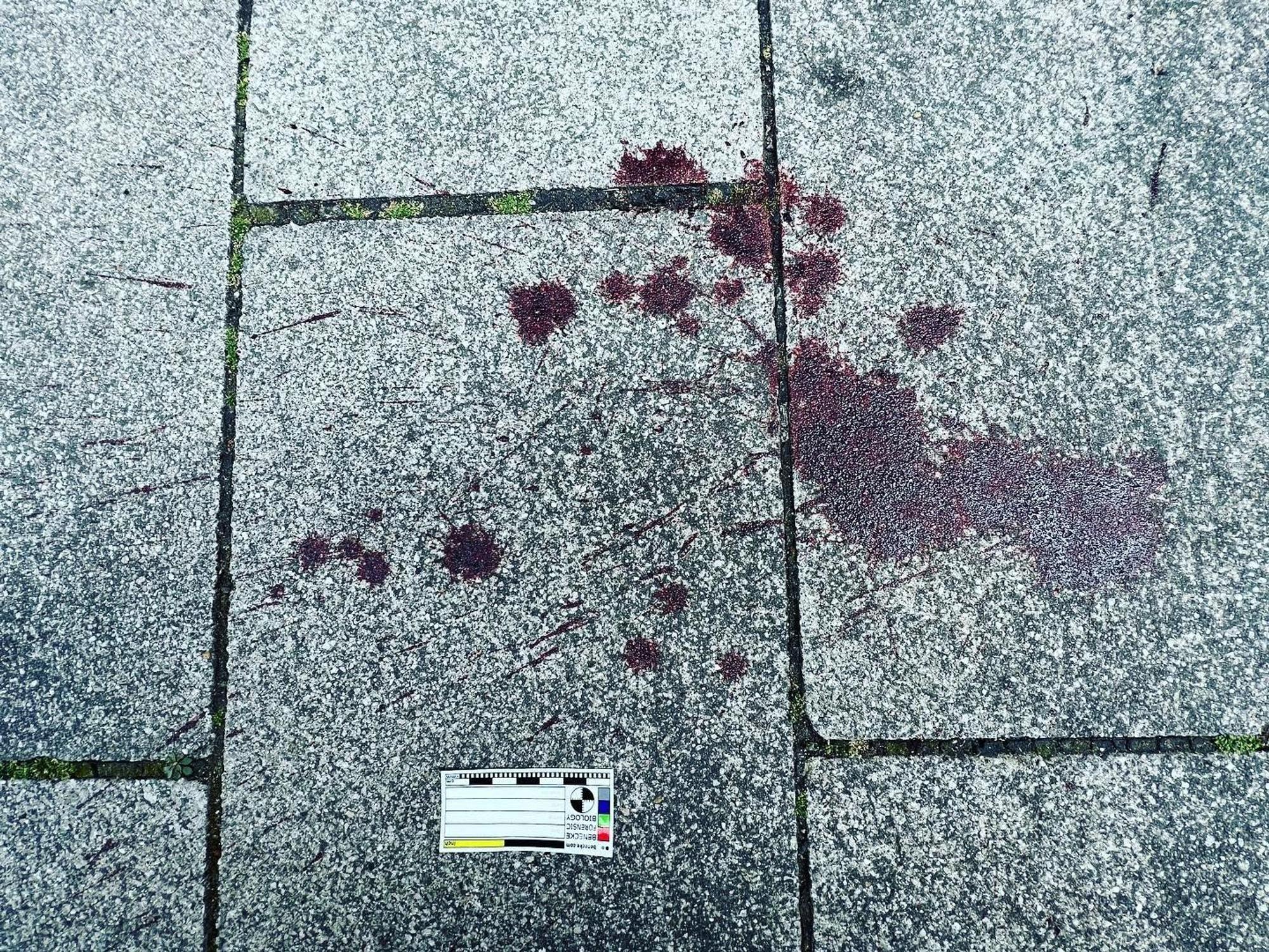 Eine Blutspur auf dem Boden.
