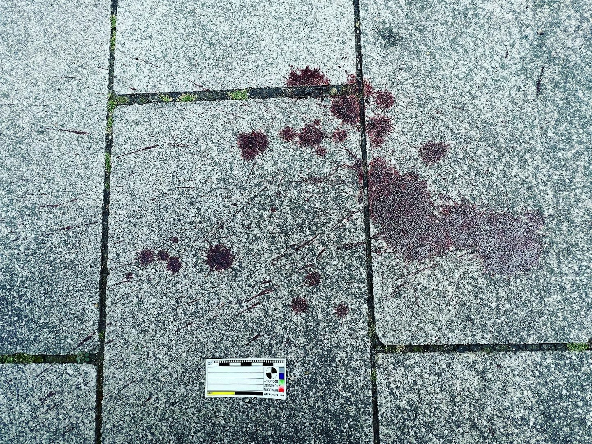 Eine Blutspur auf dem Boden.