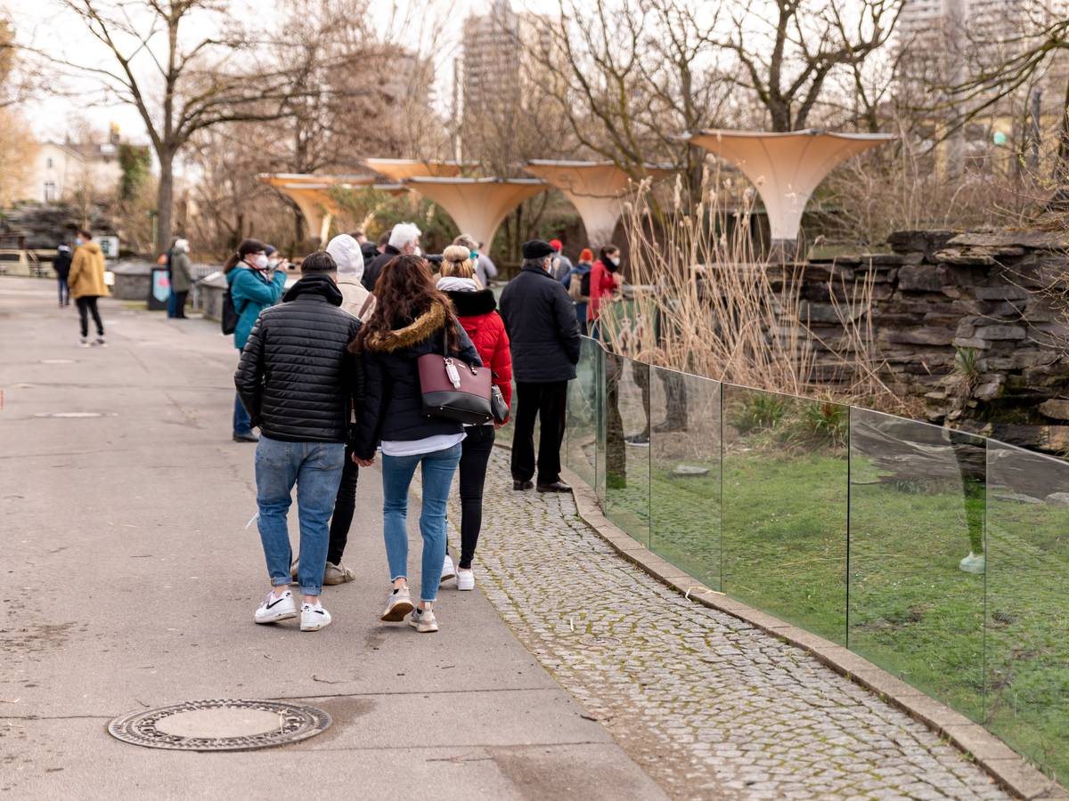 Besucherinnen und Besucher schlendern durch den Kölner Zoo.