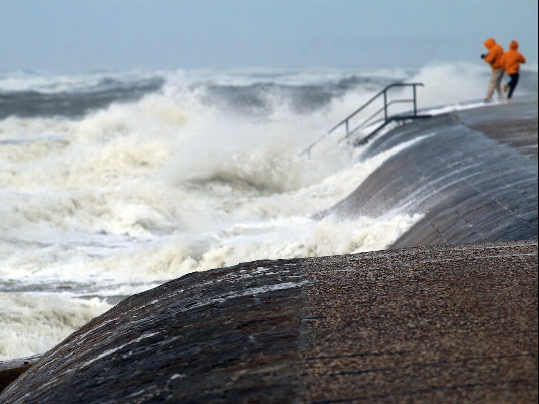 Hohe Wellen an einer Küste.