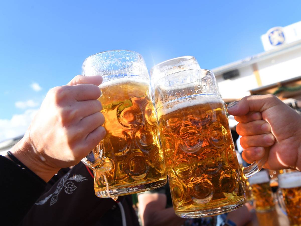 Auf dem Symbolfoto stoßen Besucher auf dem Oktoberfest mit Maßkrügen voller Bier an, aufgenommen im September 2018.
