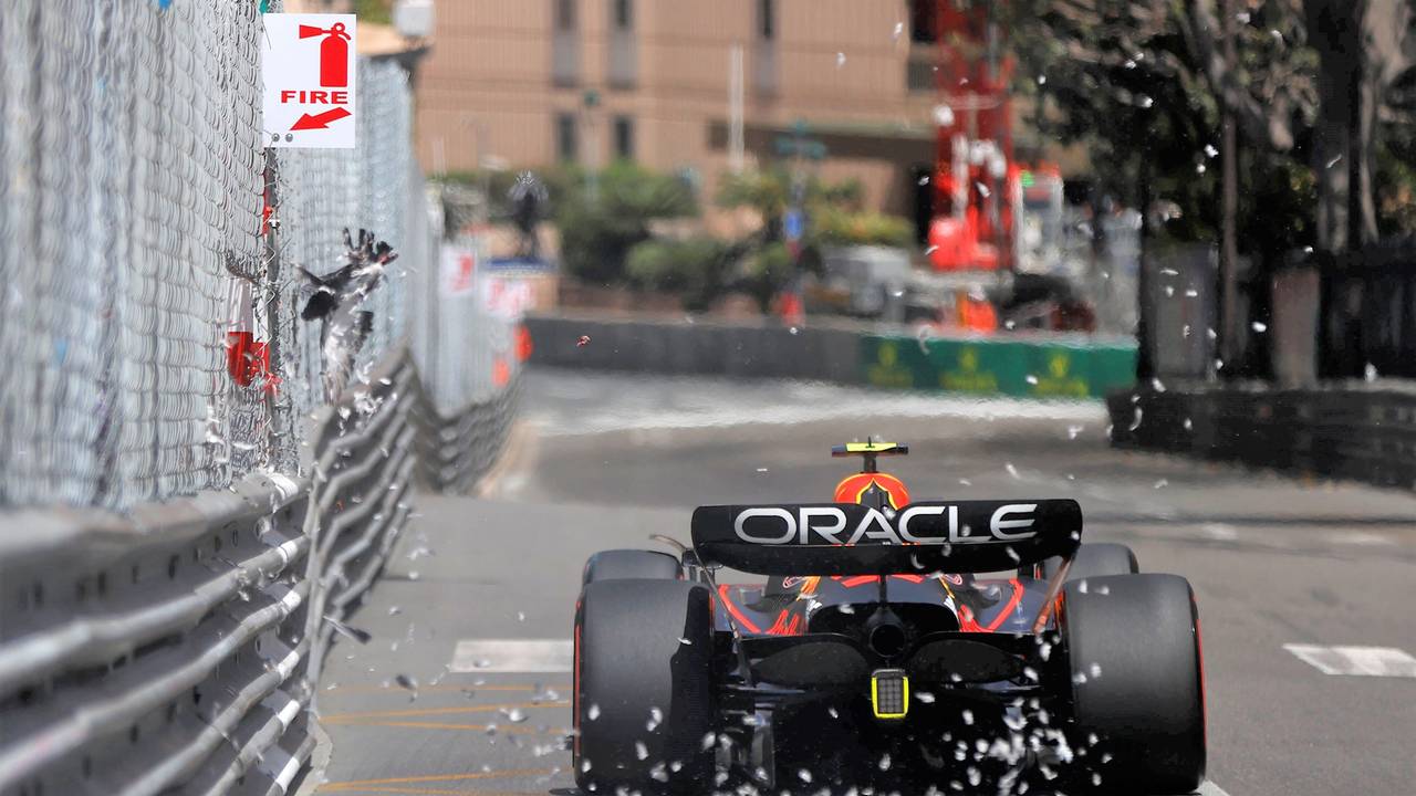 Nach einer Kollision mit dem Formel-1-Boliden von Sergio Pérez wird eine gerupfte Taube durch die Luft gewirbelt, Federn fliegen umher.