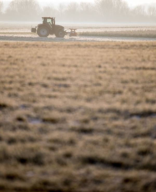Ein Landwirt nutzt in unserem Archivbild (2018) den Sonnenschein am Morgen, um auf einem Feld zu arbeiten. Landwirte in NRW haben ihre eigenen Felder zerstört – aus Protest.