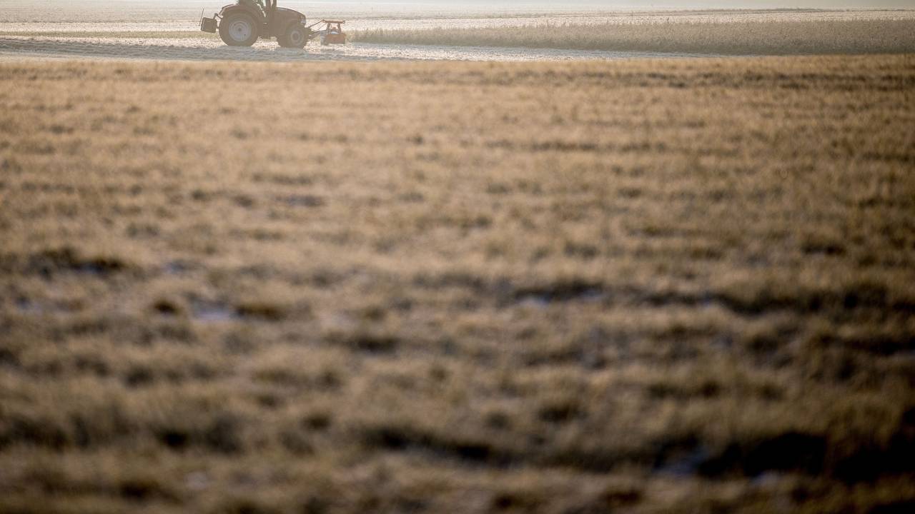 Ein Landwirt nutzt in unserem Archivbild (2018) den Sonnenschein am Morgen, um auf einem Feld zu arbeiten. Landwirte in NRW haben ihre eigenen Felder zerstört – aus Protest.