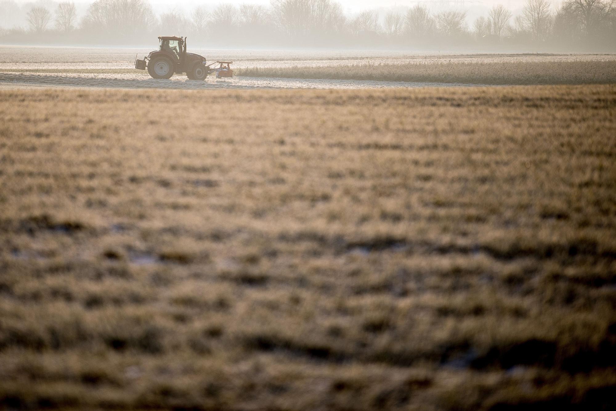 Ein Landwirt nutzt in unserem Archivbild (2018) den Sonnenschein am Morgen, um auf einem Feld zu arbeiten. Landwirte in NRW haben ihre eigenen Felder zerstört – aus Protest.