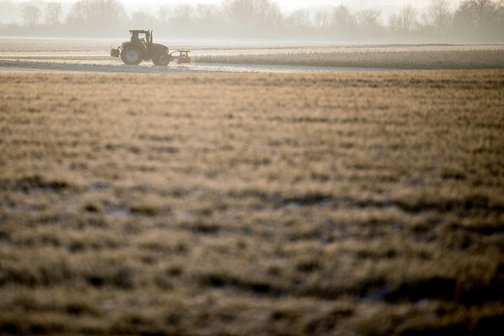 Ein Landwirt nutzt in unserem Archivbild (2018) den Sonnenschein am Morgen, um auf einem Feld zu arbeiten. Landwirte in NRW haben ihre eigenen Felder zerstört – aus Protest.