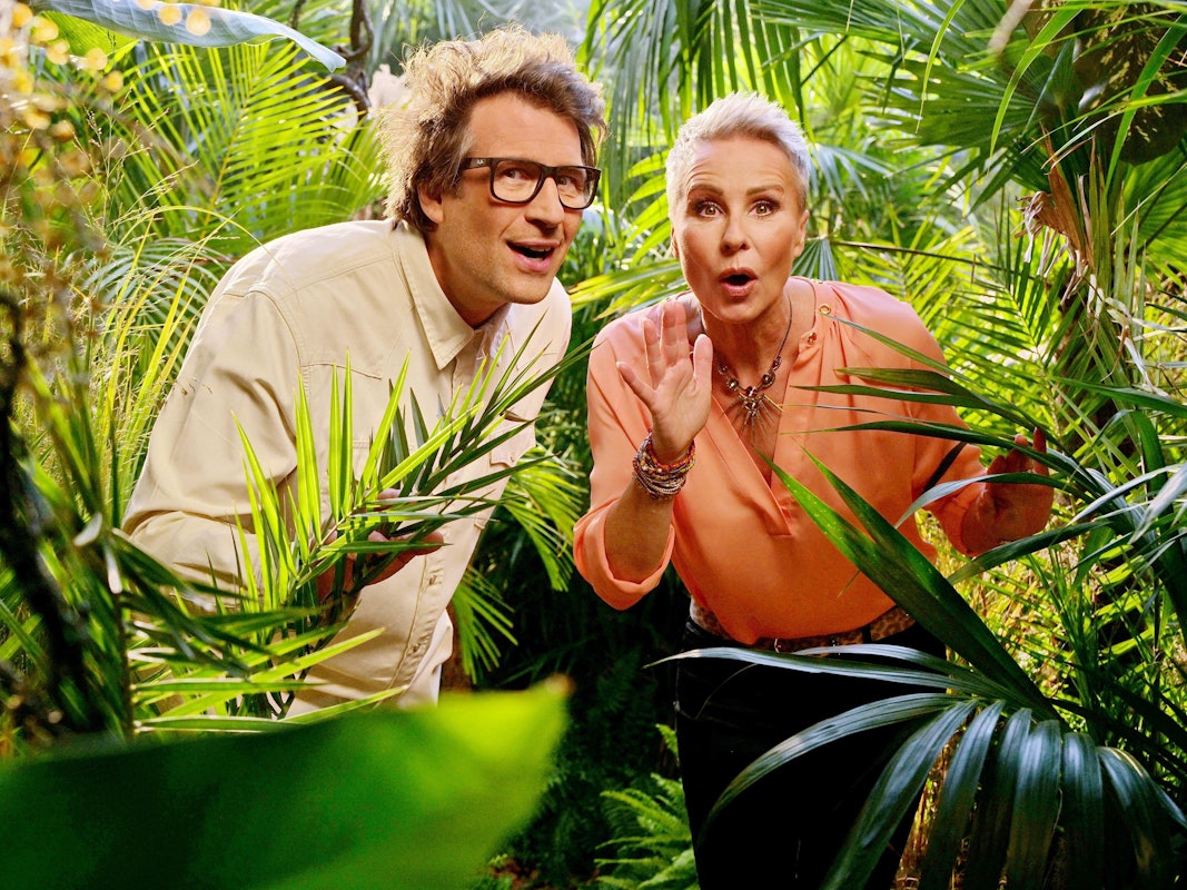 Die Moderatoren des RTL-Dschungelcamp, Daniel Hartwich und Sonja Zietlow. Am 21. Januar 2022 startete die 15. Staffel der TV-Dschungelshow, „Ich bin ein Star - Holt mich hier raus!“.