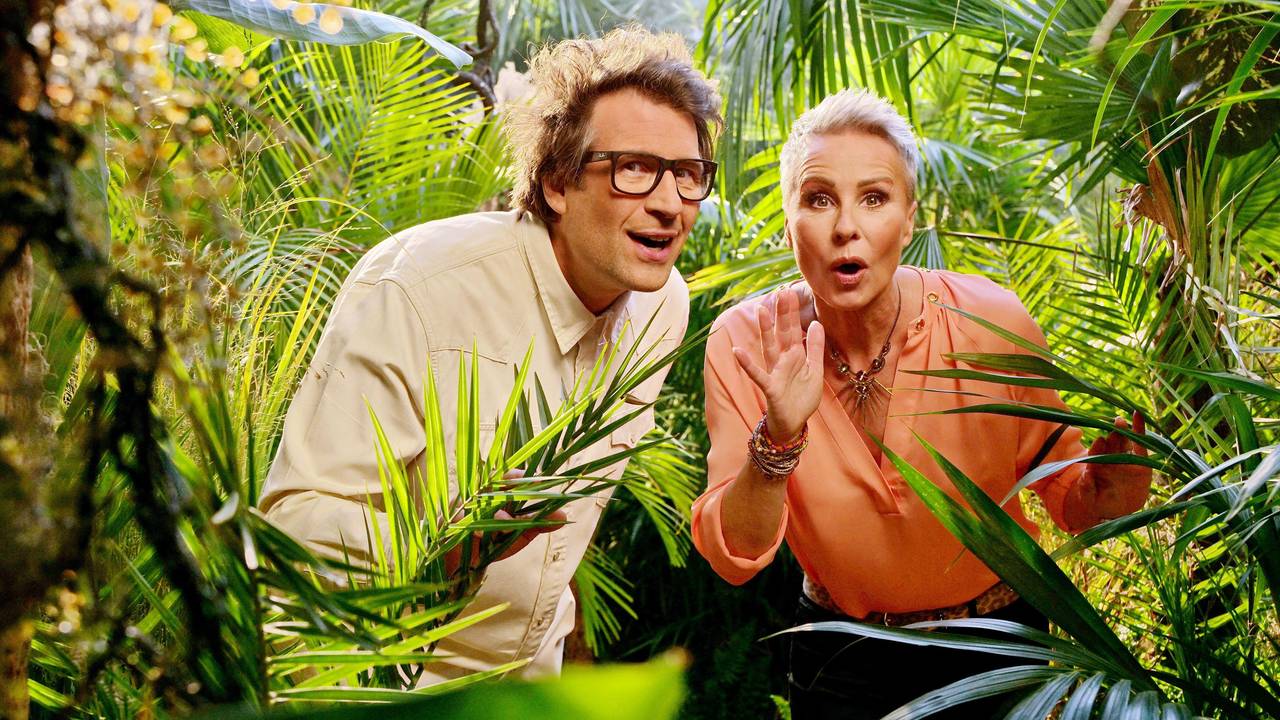 Die Moderatoren des RTL-Dschungelcamp, Daniel Hartwich und Sonja Zietlow. Am 21. Januar 2022 startete die 15. Staffel der TV-Dschungelshow, „Ich bin ein Star - Holt mich hier raus!“.