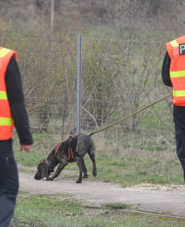 Ein Polizeihund wird zur Suche nach der vermissten Person eingesetzt.