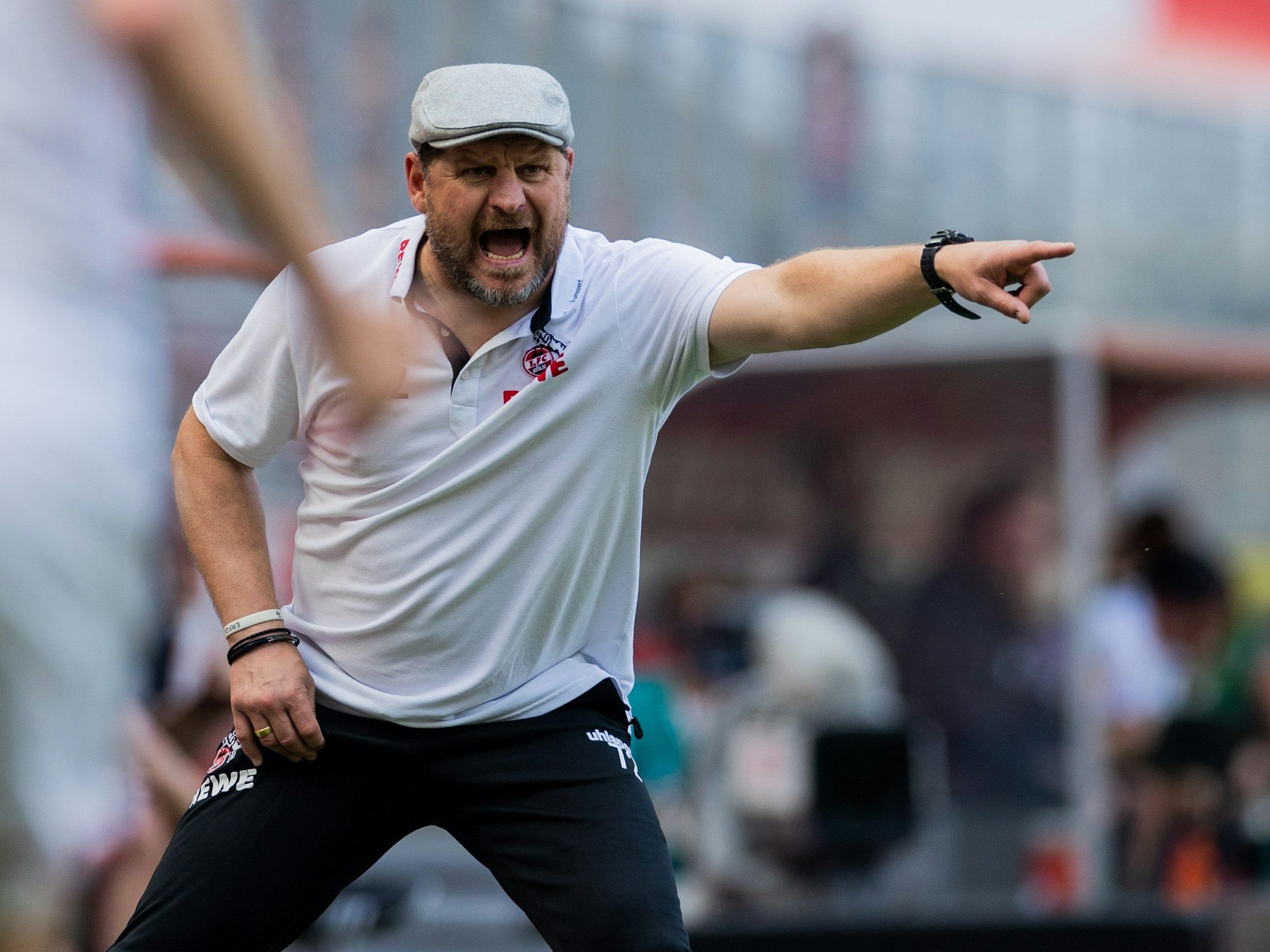 Steffen Baumgart während des Spiels gegen den VfL Wolfsburg.