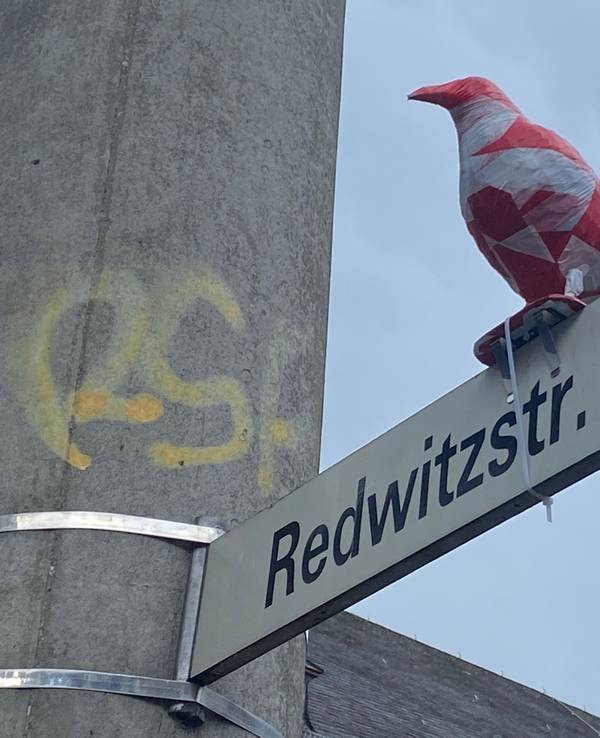 Ein in rot-weißem Absperrband eingewickelter Rabe sitzt auf einem Straßenschild in Köln-Sülz.