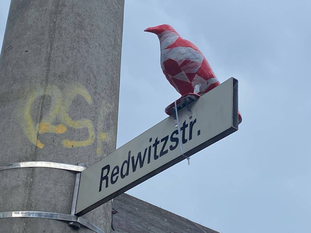 Ein in rot-weißem Absperrband eingewickelter Rabe sitzt auf einem Straßenschild in Köln-Sülz.