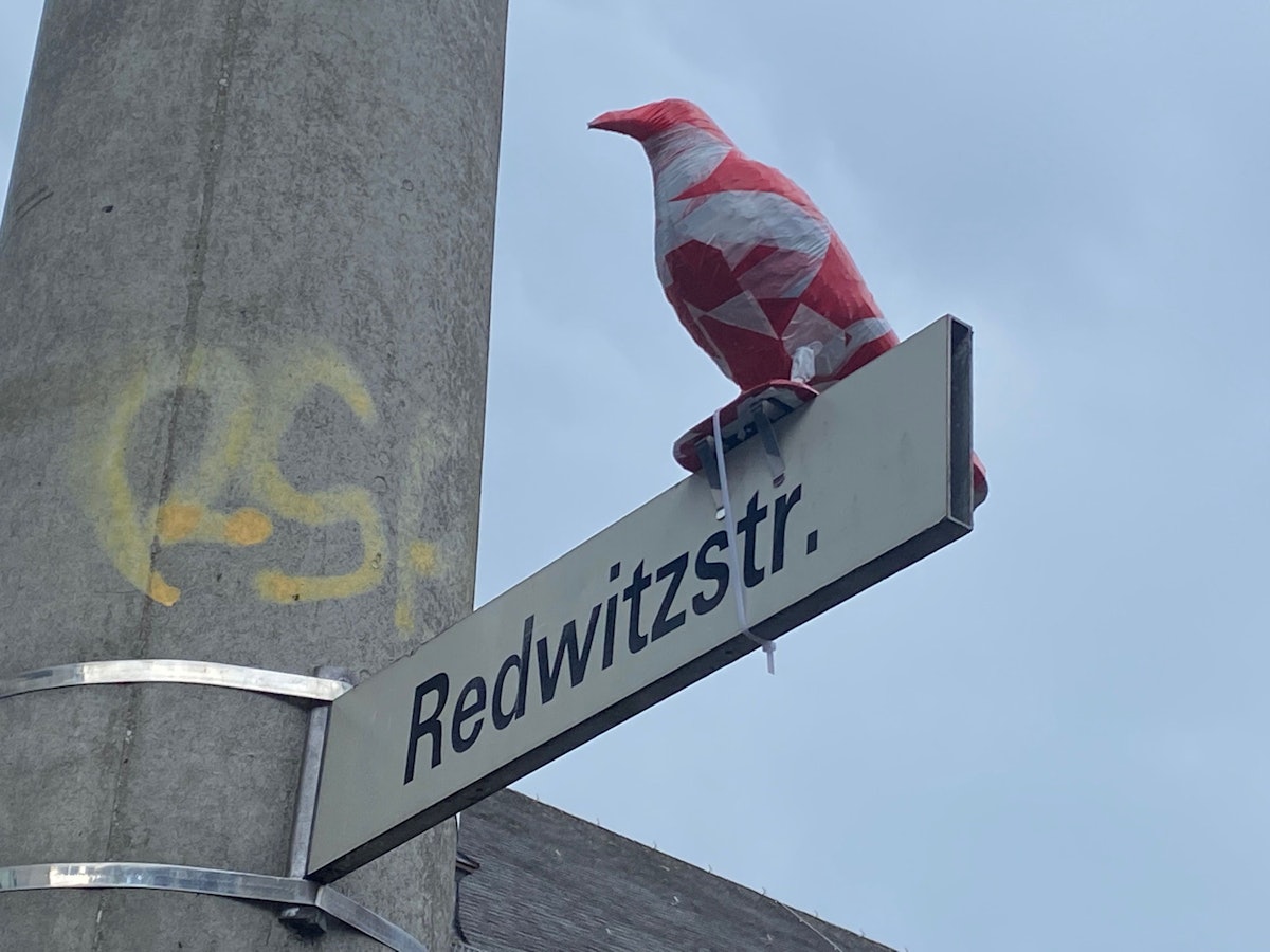 Ein in rot-weißem Absperrband eingewickelter Rabe sitzt auf einem Straßenschild in Köln-Sülz.