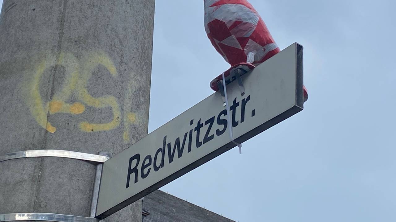 Ein in rot-weißem Absperrband eingewickelter Rabe sitzt auf einem Straßenschild in Köln-Sülz.