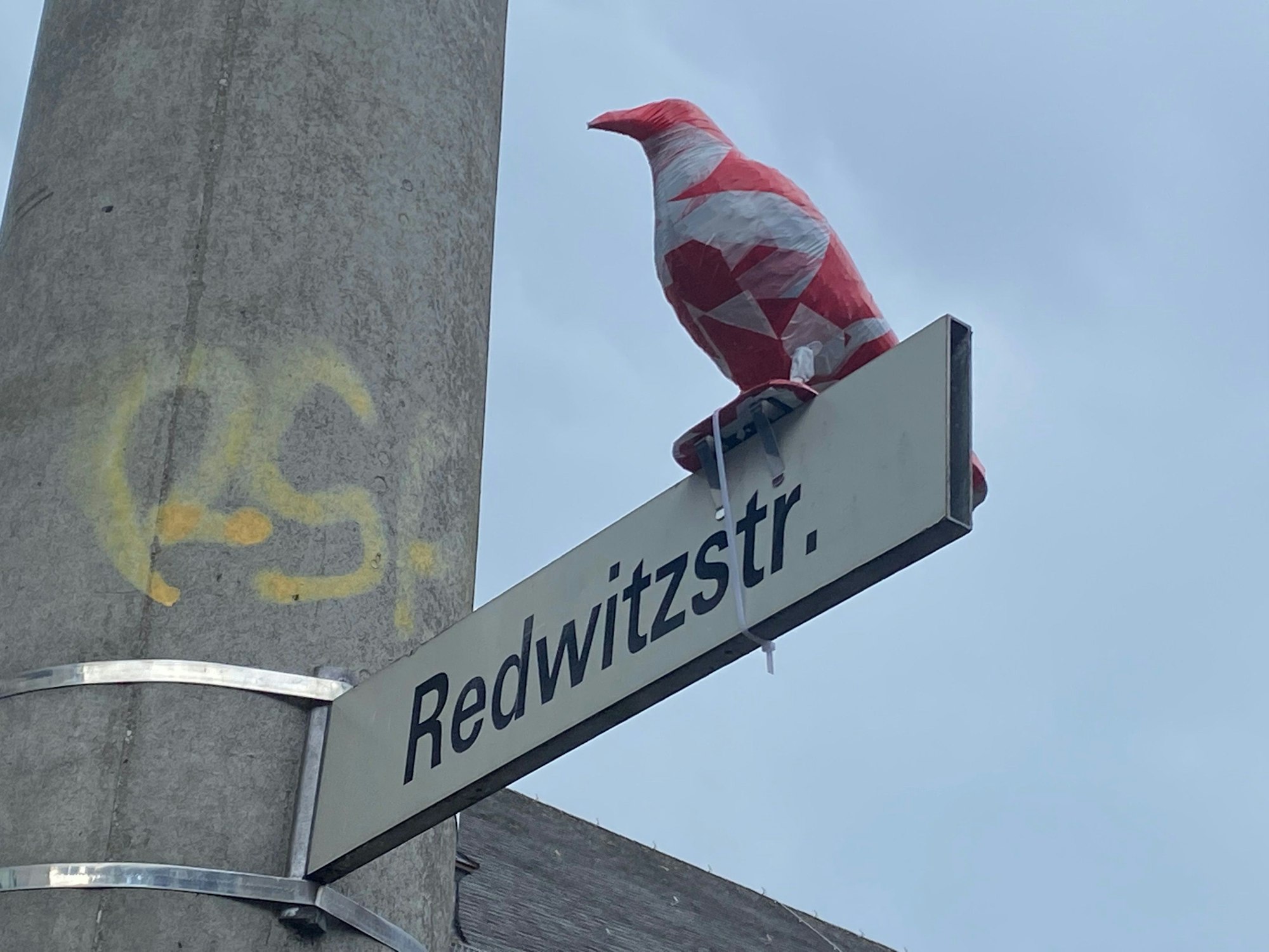 Ein in rot-weißem Absperrband eingewickelter Rabe sitzt auf einem Straßenschild in Köln-Sülz.