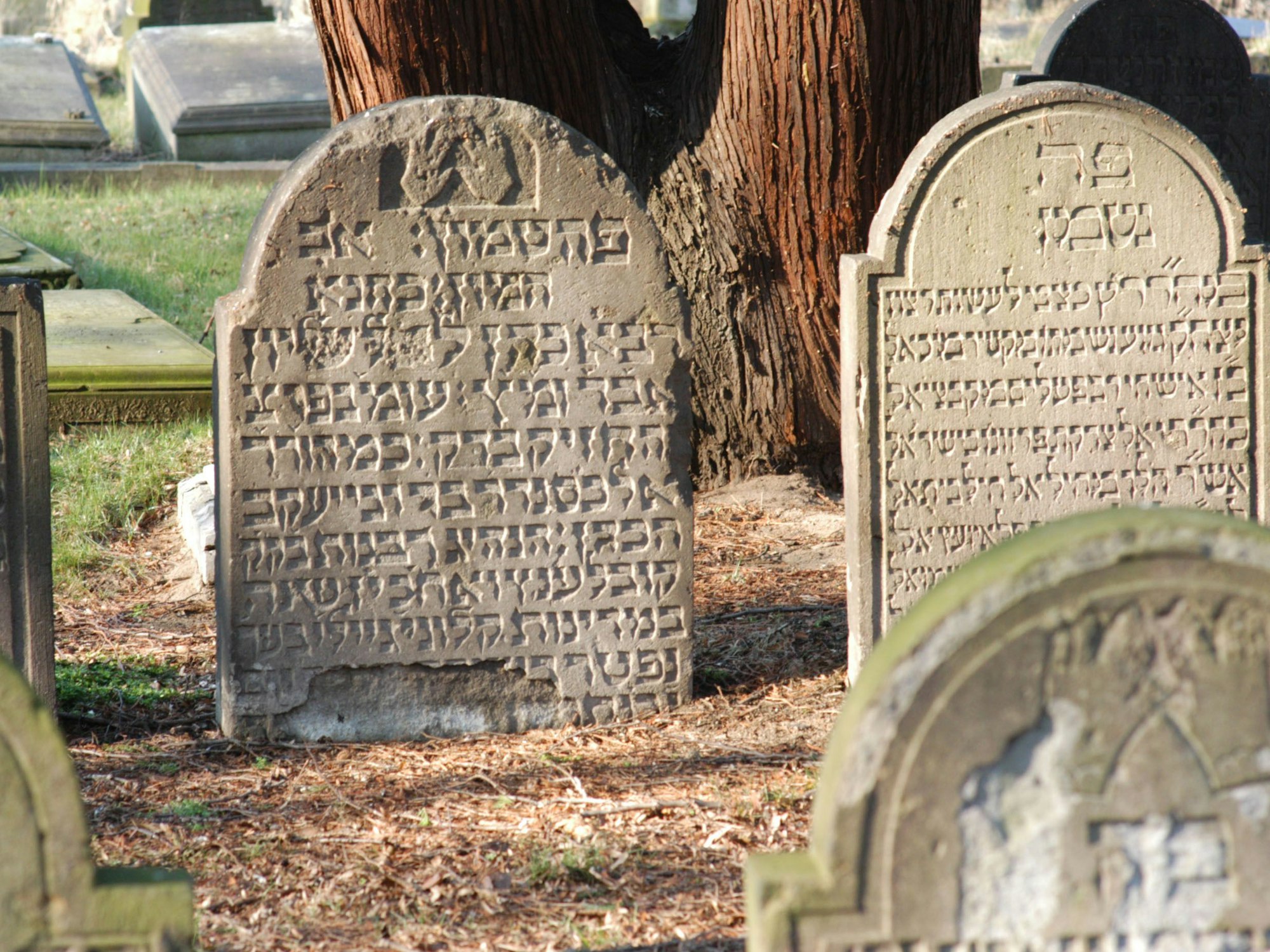 Grabsteine mit hebräischen Schriftzeichen stehen auf dem jüdischen Friedhof in Köln.